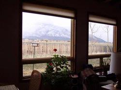 Des Montes Delight